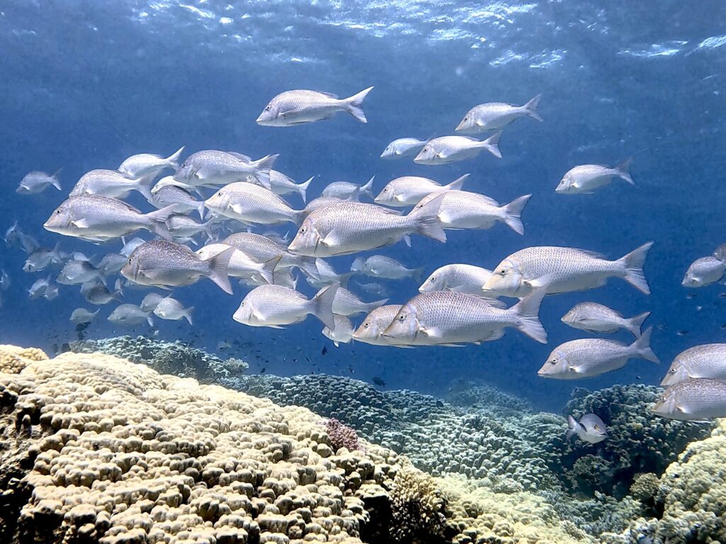 Unterwasser gings dem Wochenende entgegen