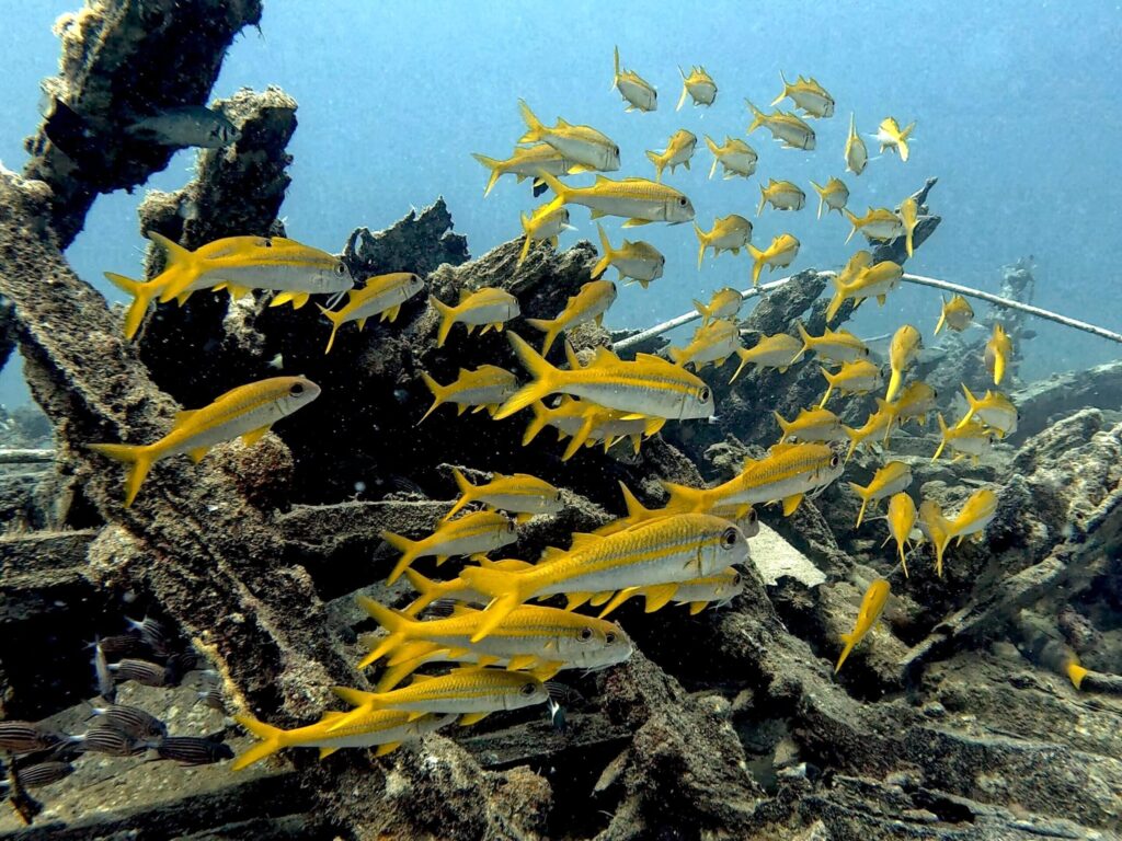 Erstaunliche Funde beim spontanen Clean Up