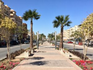 Neues und Spannendes der Woche aus Ägypten