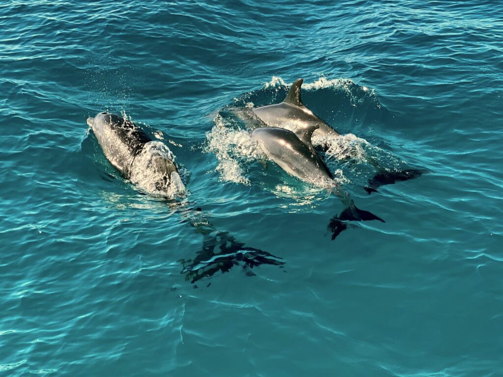 Unsere Welt unter Wasser