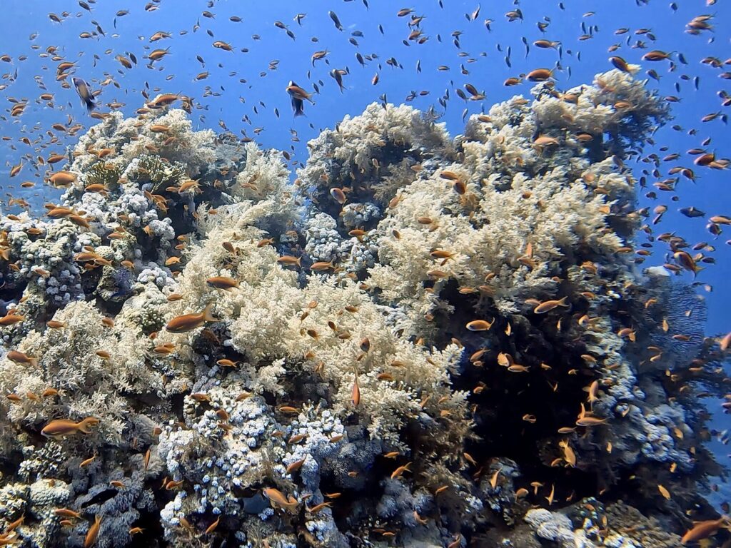 Gemütlich abtauchen Richtung Wochenende