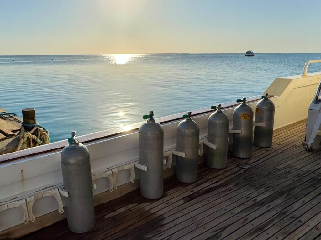 Wochenüberblick: Herbsttage am Roten Meer