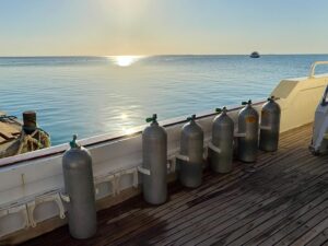 Wochenüberblick: Herbsttage am Roten Meer