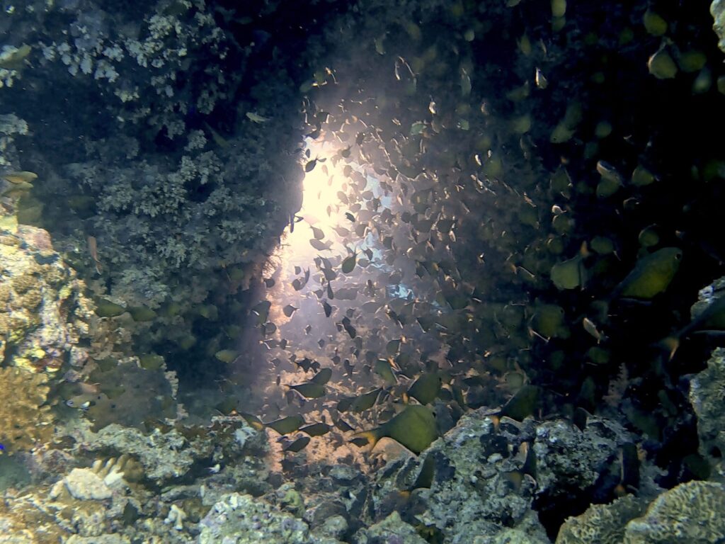 Geschichten und Sehnsüchte