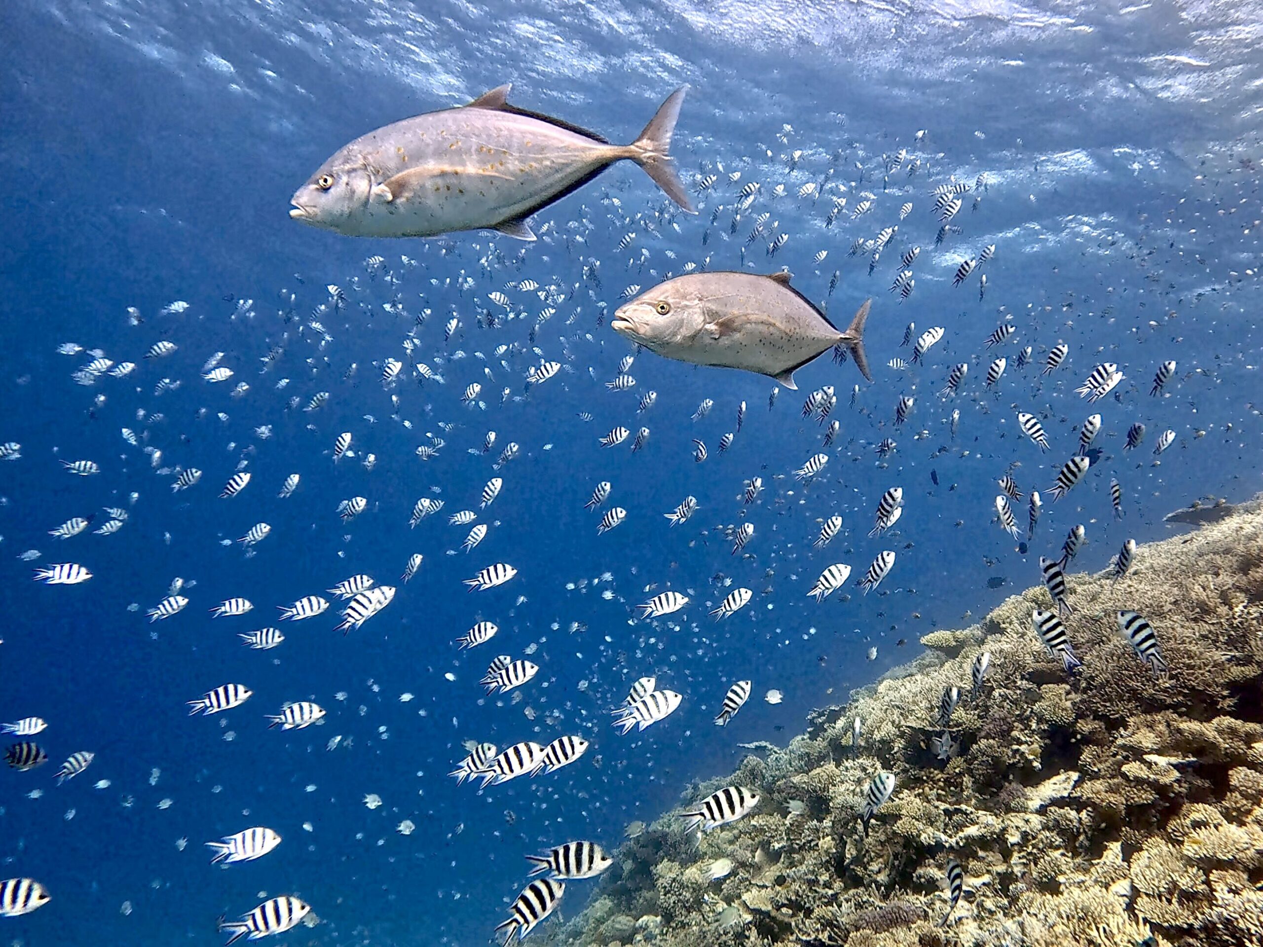 Sonntagsabenteuer unter der Oberfläche