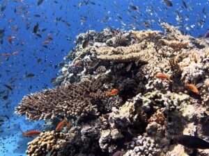 Wochenendstimmung im Roten Meer