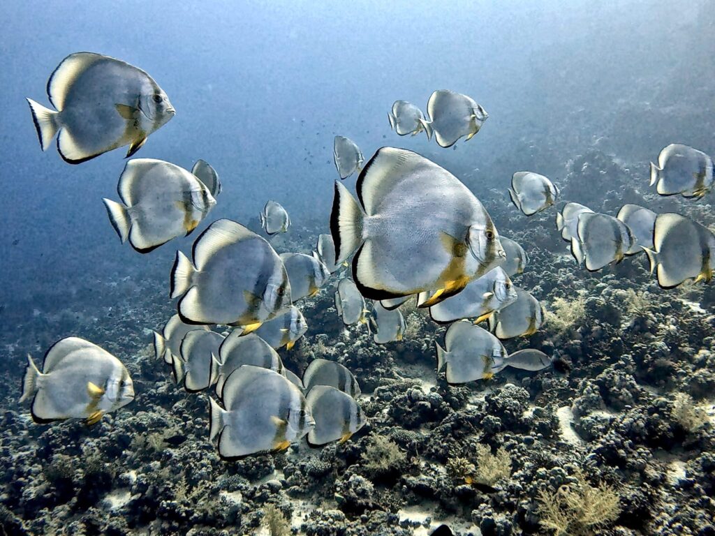 Strömung im Rücken, Staunen im Gesicht