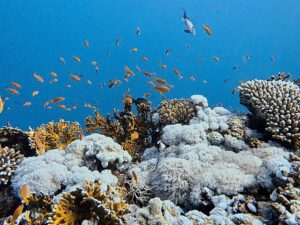 Die sanfte Stille mit dem Wow-Effekt