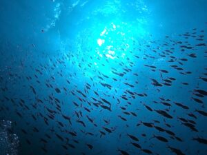 Wasserspaß im angenehm warmen Nass