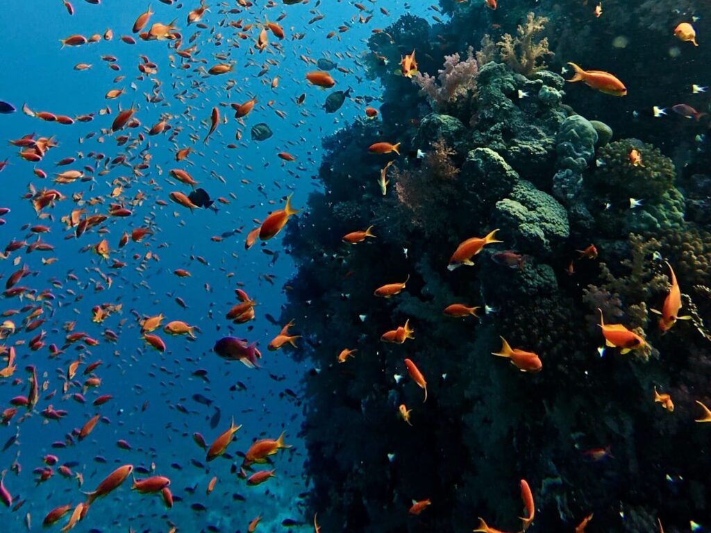 Heute gab es Gästebetreuung im Luxusformat