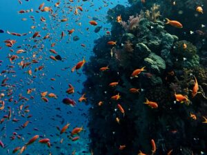 Heute gab es Gästebetreuung im Luxusformat