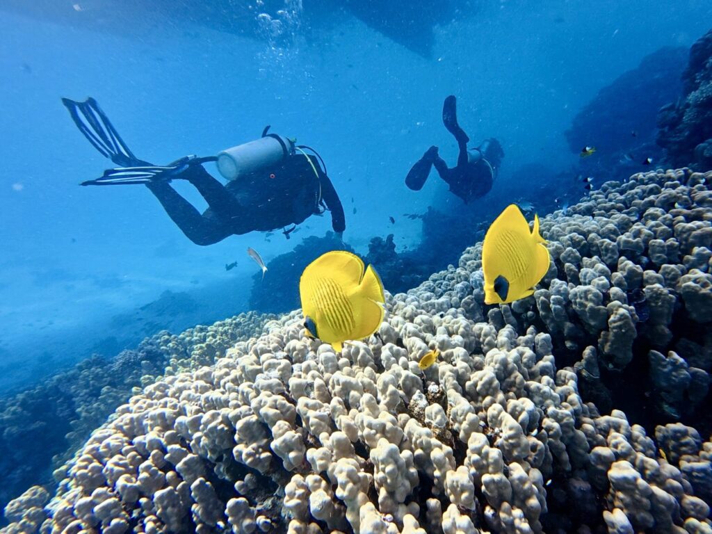 Strahlender Sonnenschein kurz vor Silvester