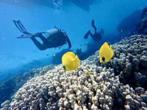 Strahlender Sonnenschein kurz vor Silvester