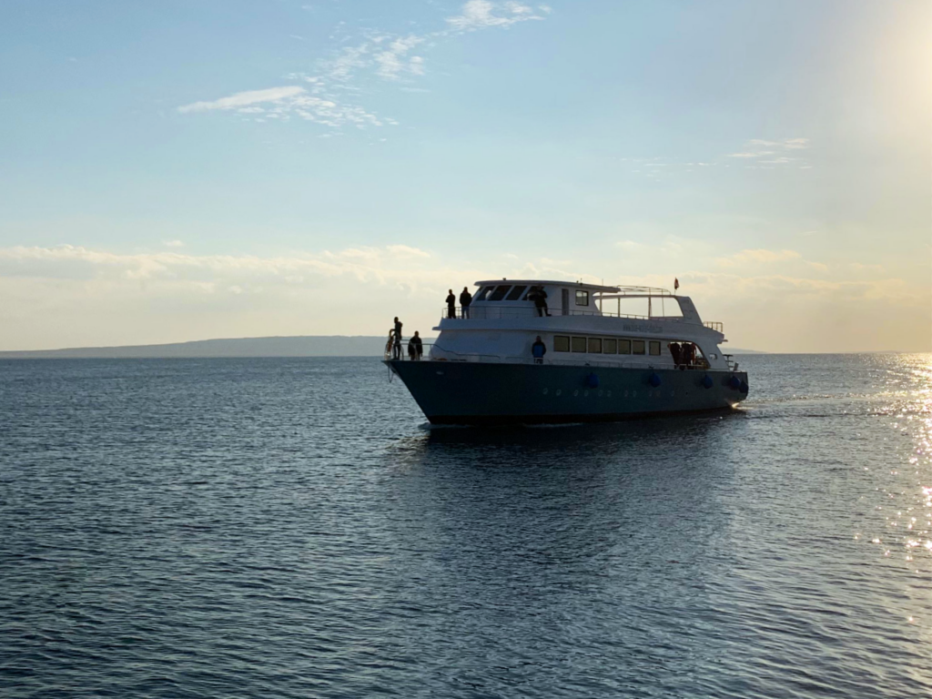Unser Wochenbericht startet ins Jahr 2026