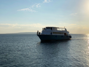 Unser Wochenbericht startet ins Jahr 2026