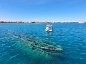 Neues aus Ägypten – unsere Januarwoche