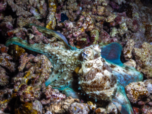 Tage wie dieser dürften nie vergehen