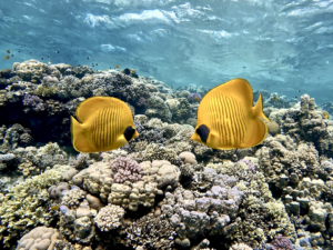 Wir genossen einen Block nach dem anderen