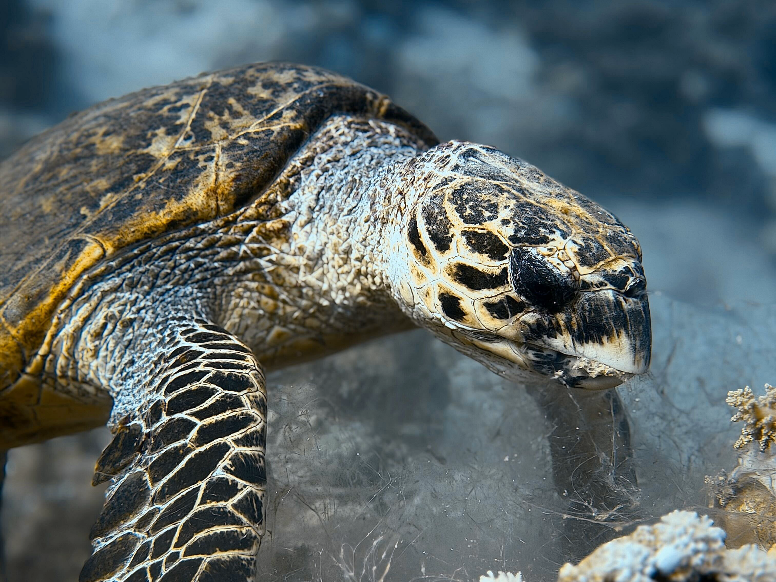 Nicht nur wir genossen unser Mittagessen