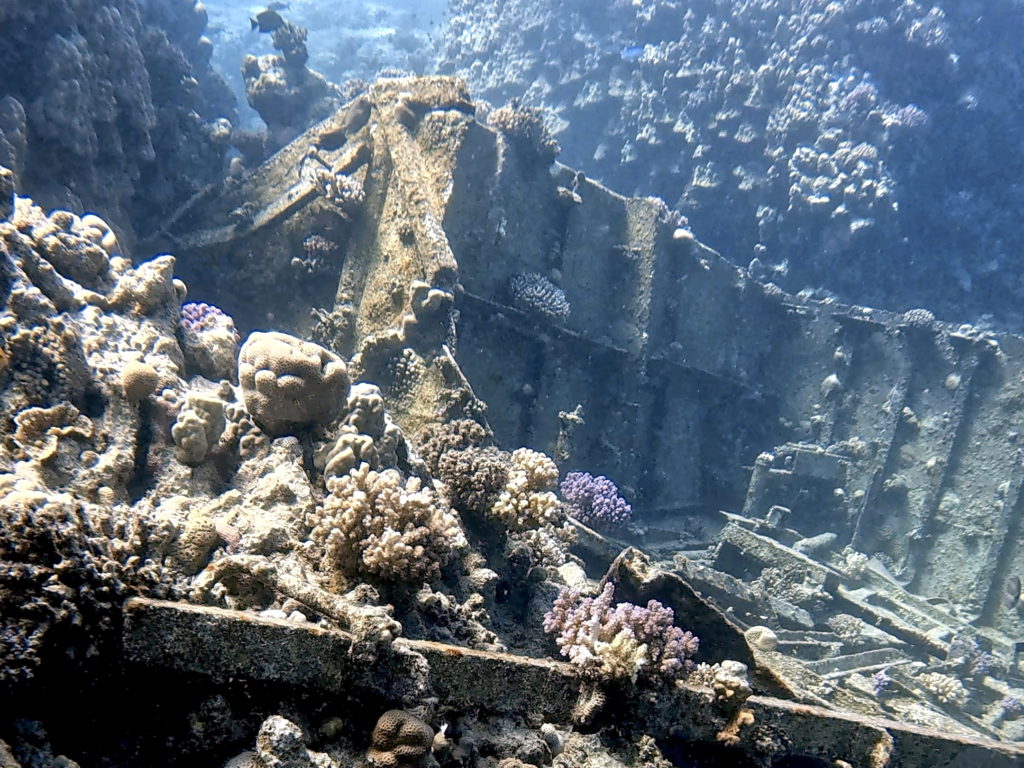 Ein kleines Wrack versüßt den Sicherheitsstopp
