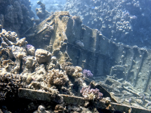 Ein kleines Wrack versüßt den Sicherheitsstopp