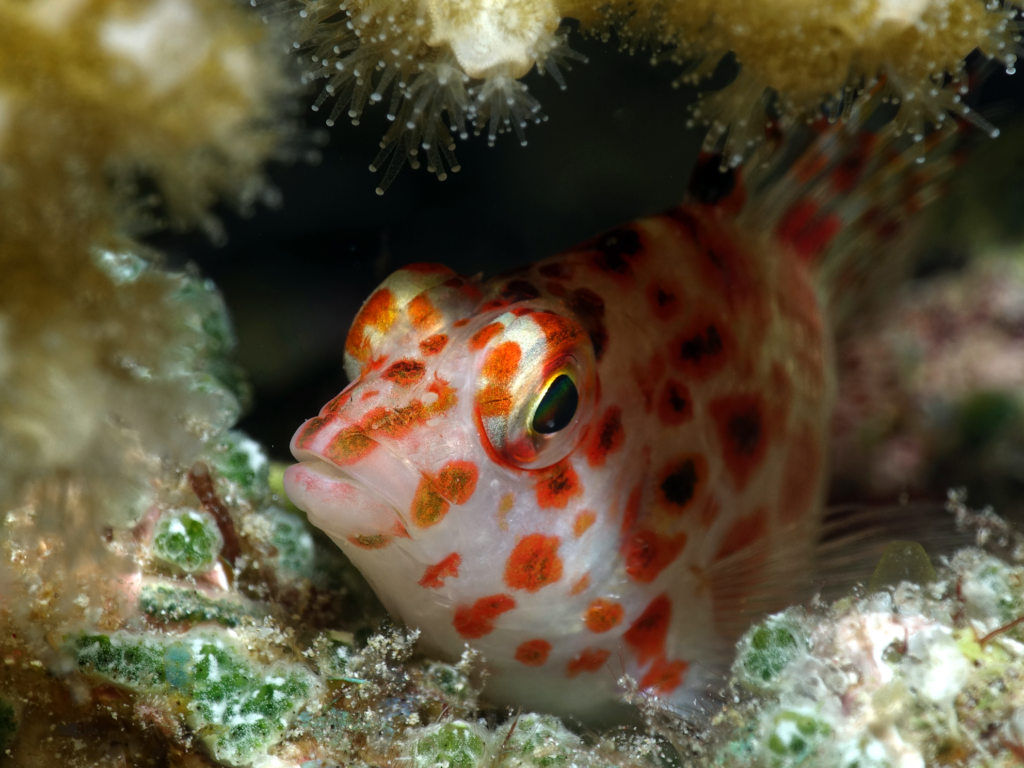 Heute sind wir besonders gut gelaunt