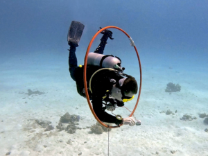 Spaß und Lehrreiches in der Unterwasserwelt