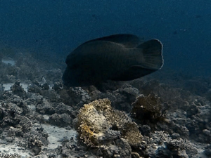 Salzige Luft und große Abenteuer