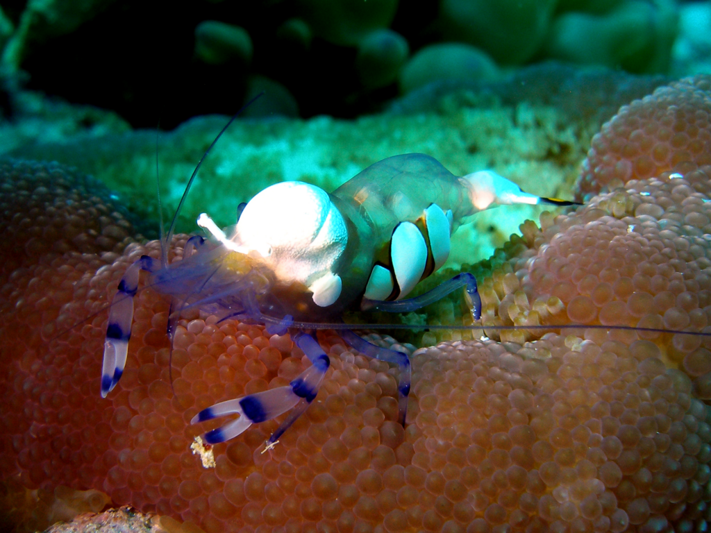 Eine schöne Wochenmitte mit viel Sonnenschein