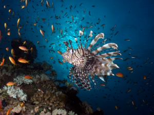 Mit Sonne im Herzen und Wasser um die Nase