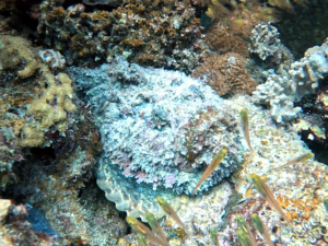 Stille Augenblicke bescherten schöne Momente