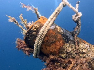 Der April beginnt mit besonderen Momenten