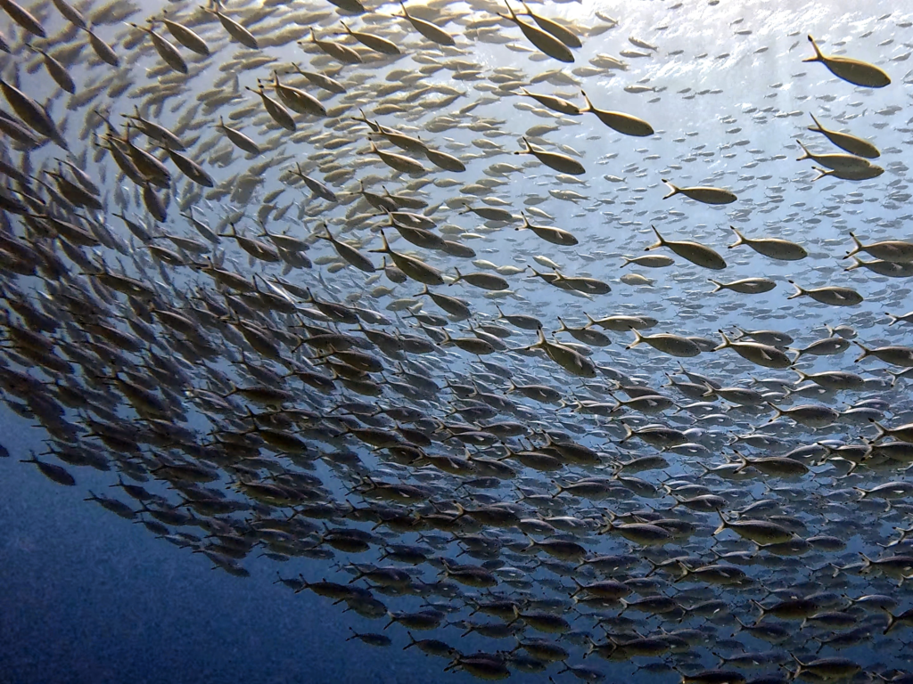 Viele Begegnungen wie viele kleine Wunder