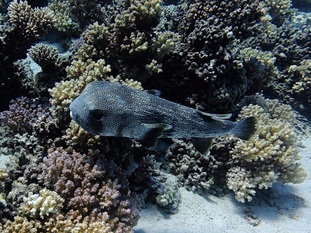 Durch die Strömung mit schöner Belohnung