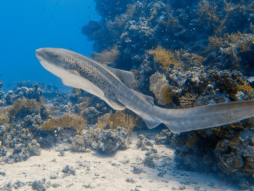 Unerwarteter Besuch am Aquarium