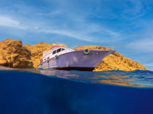 Sommersonne und warmer Wind – unsere Woche
