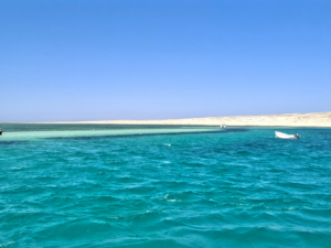 Spätsommer am Roten Meer – unser Wochenrückblick