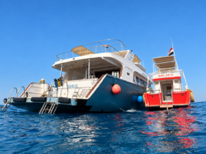 Direkt vom Roten Meer – unser Wochenüberblick