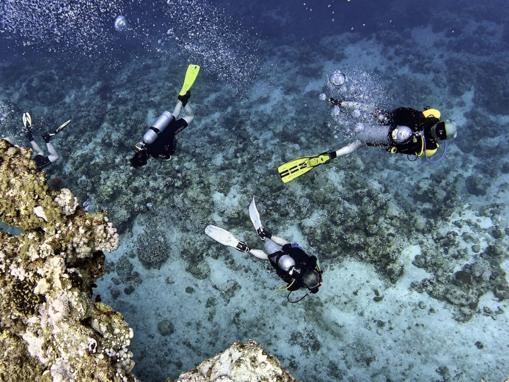 Wir sammeln unvergessliche Momente unter Wasser